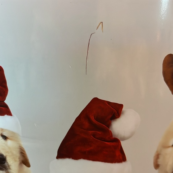 Tin Can - Picture 2 of 7